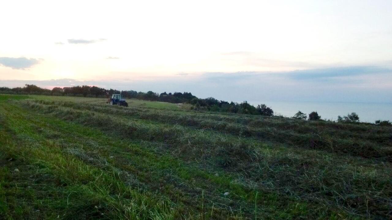 Agriturismo La Costa Dei Trabocchi Torino di Sangro Εξωτερικό φωτογραφία